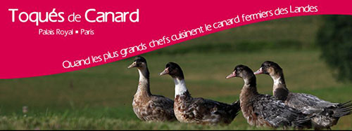 Toque_s_de_canard_affiche.jpg