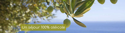 oleotourisme1.jpg